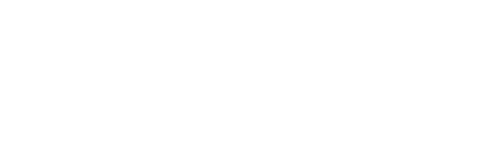 Finding Ireland Logo